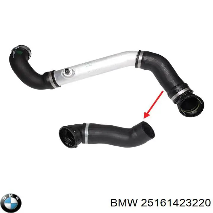 Купити 25161423220 BMW Чохол на важіль перемикання