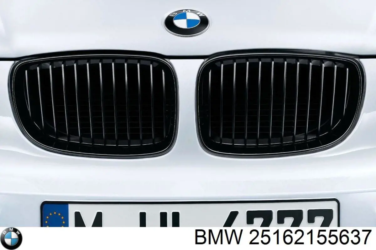  BMW 25162155637 ціна, від 177.13 USD