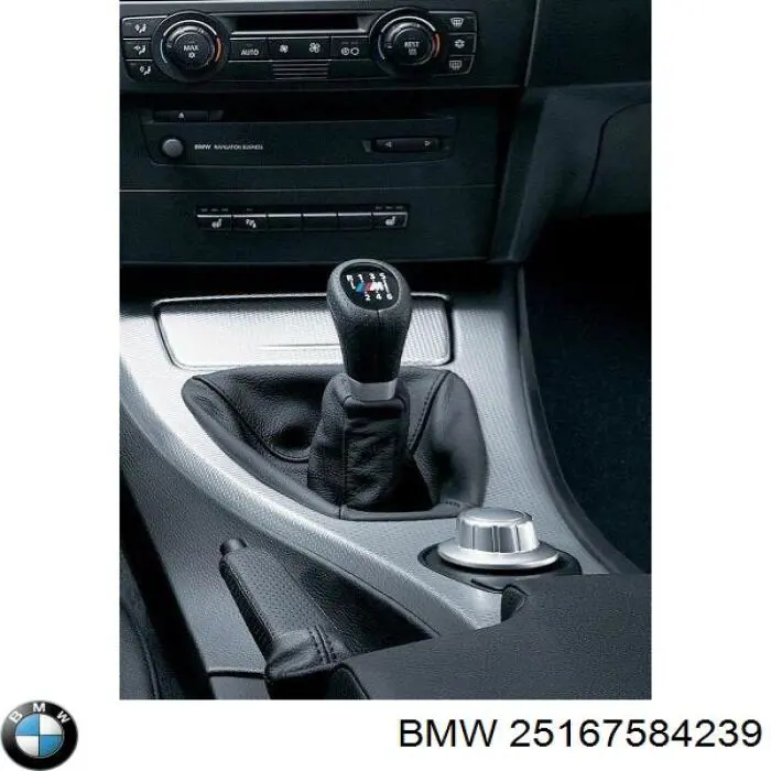 25167584239 BMW 