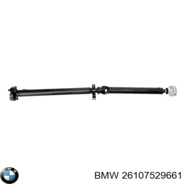  26107549305 BMW