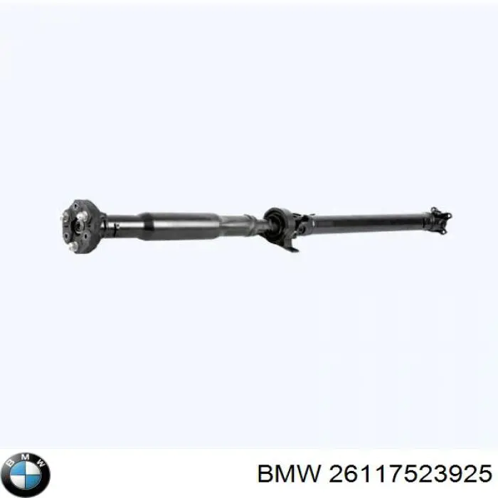 26117523925 BMW 
