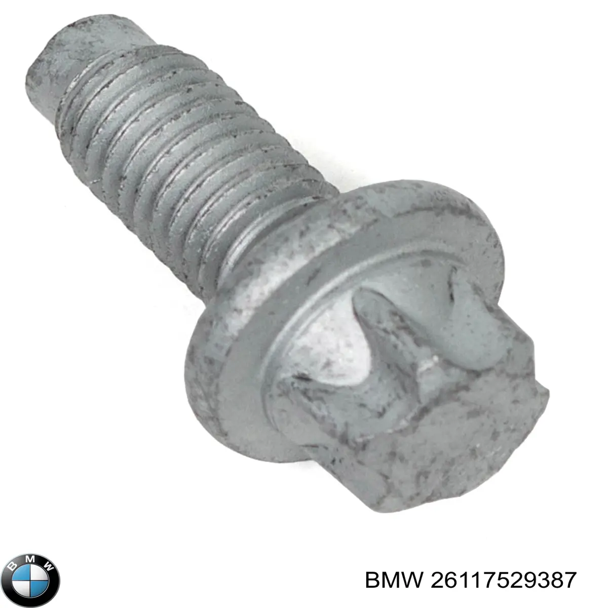 26117529387 BMW 