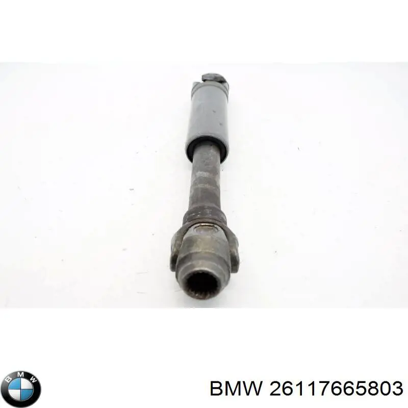 33731598825 BMW 