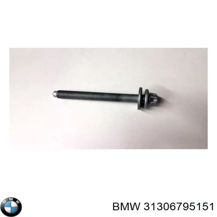 Болт кріплення амортизатора переднього BMW 31306795151 ціна, від 3.92 USD