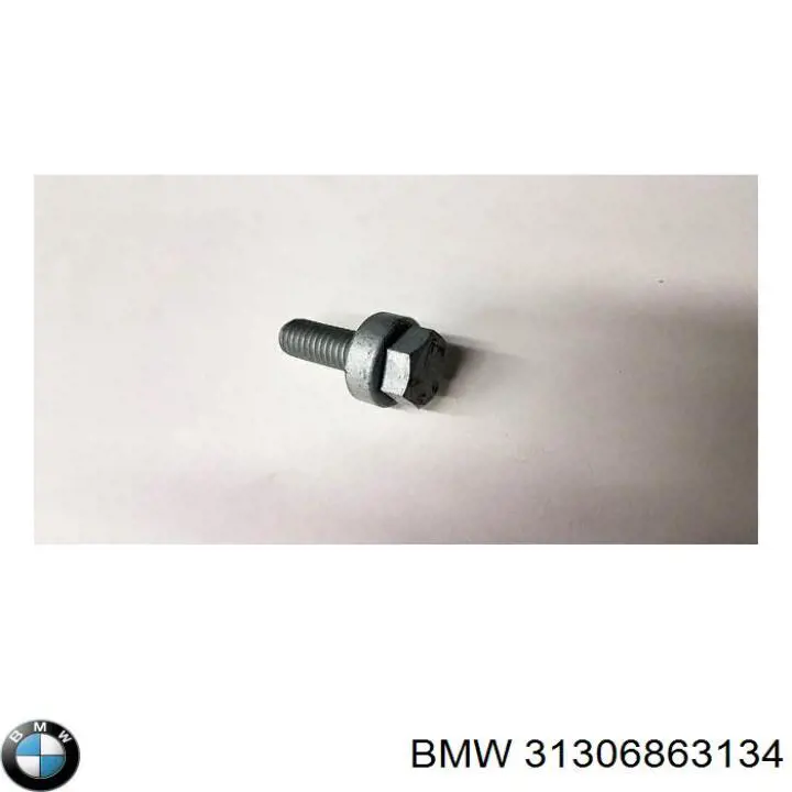31306863134 BMW Болт переднього важеля, нижнього
