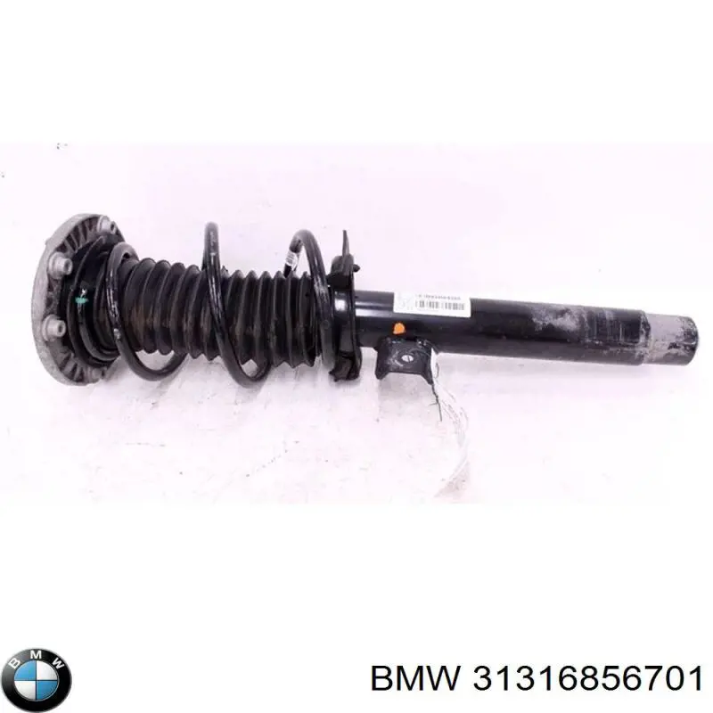  31316873793 BMW