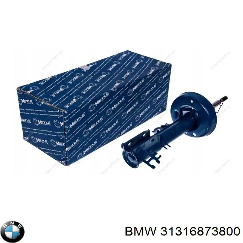  31316873800 BMW