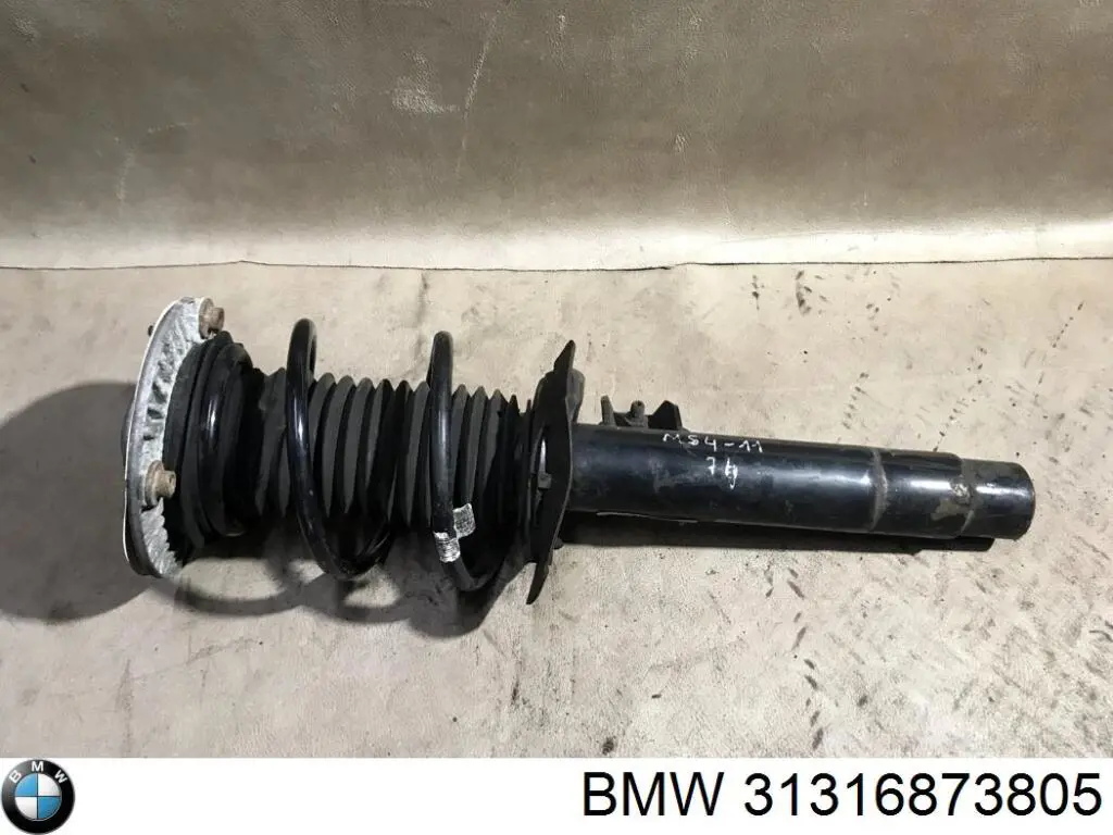  31316873805 BMW