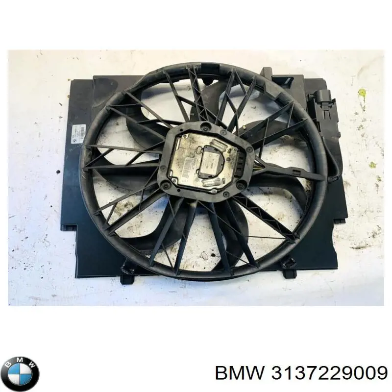  3137229009 BMW