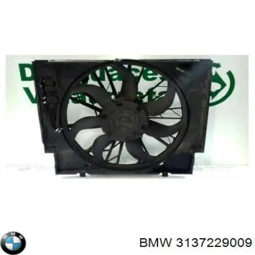  3137229009 BMW