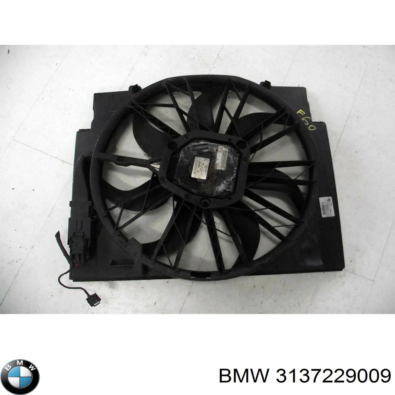 3137229009 BMW 