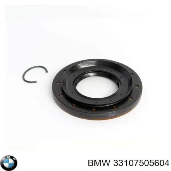 Купити 33107505604 BMW Сальник редуктора заднього моста