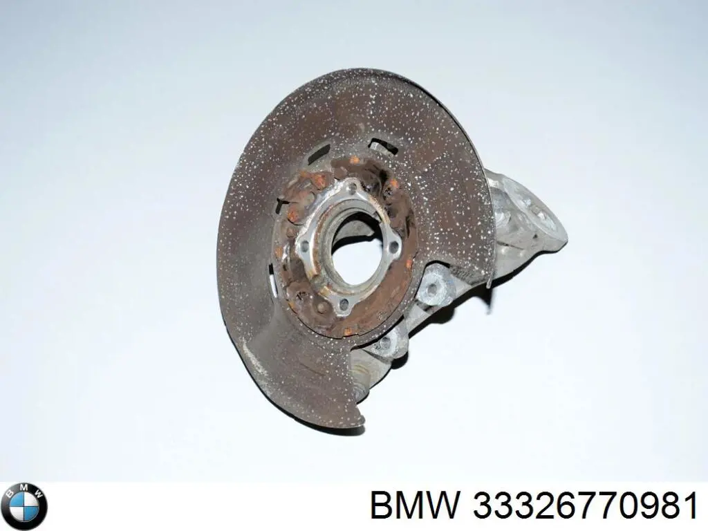 Цапфа поворотного кулака на BMW X5 (E70)