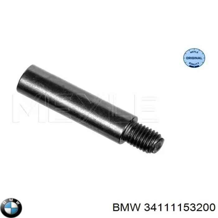 Направляюча супорту переднього BMW 34110141349