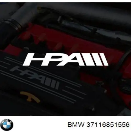 37116851556 BMW 