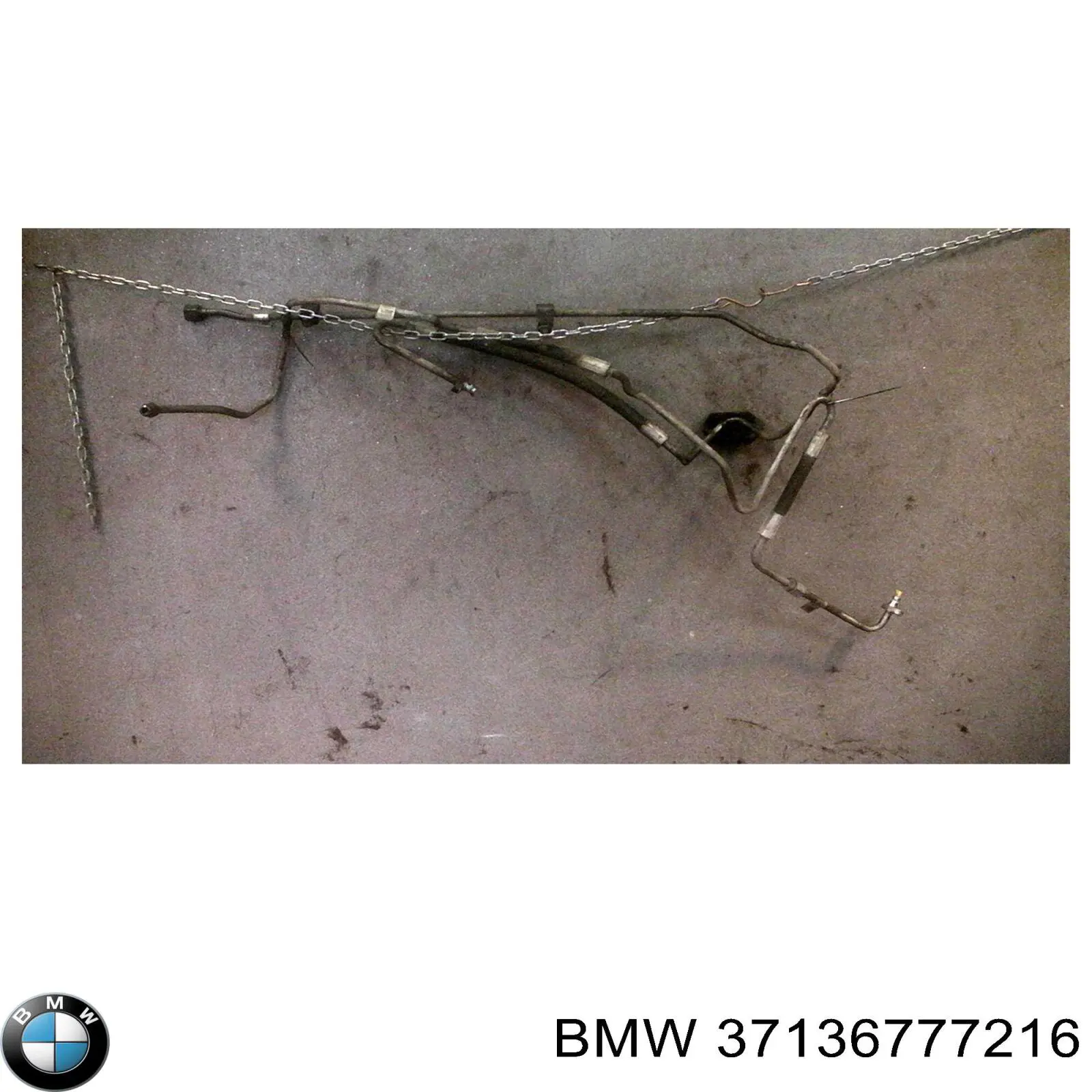 37136777216 BMW 