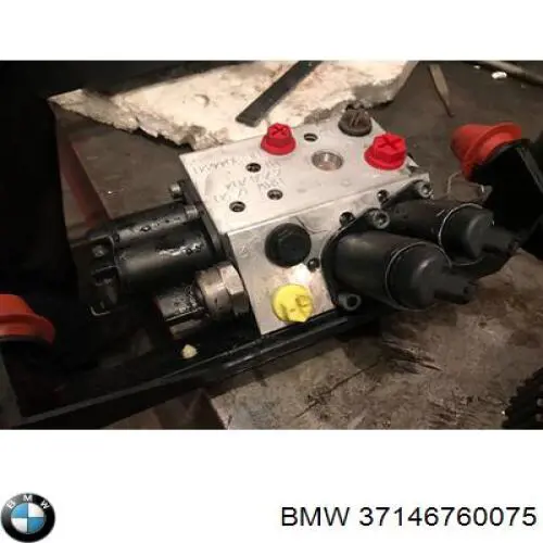 37146760075 BMW 
