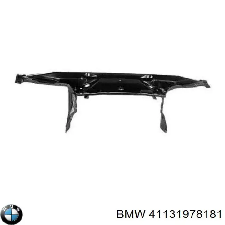 Купити 41131978181 BMW Установча панель передня