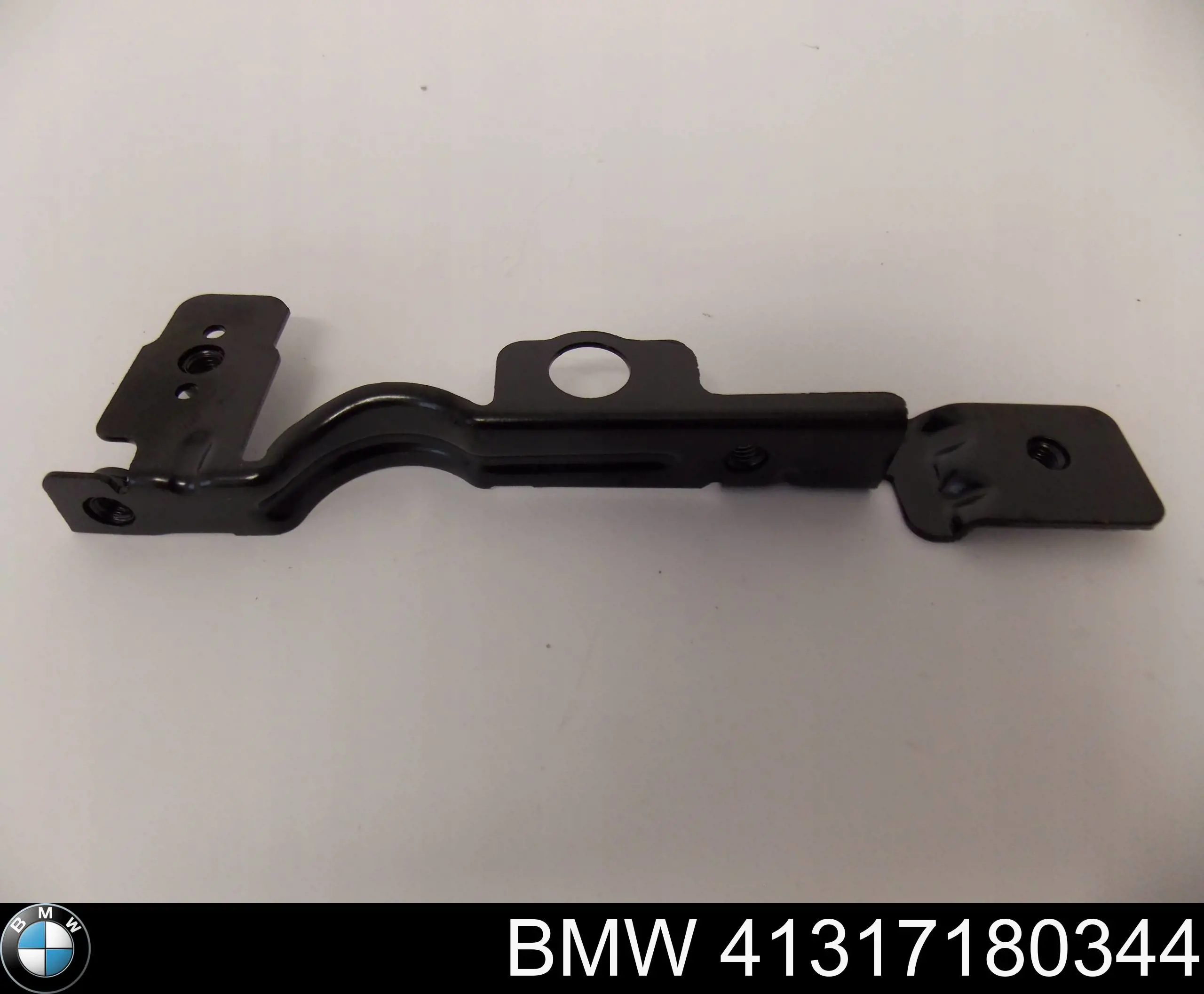 41317180344 BMW 