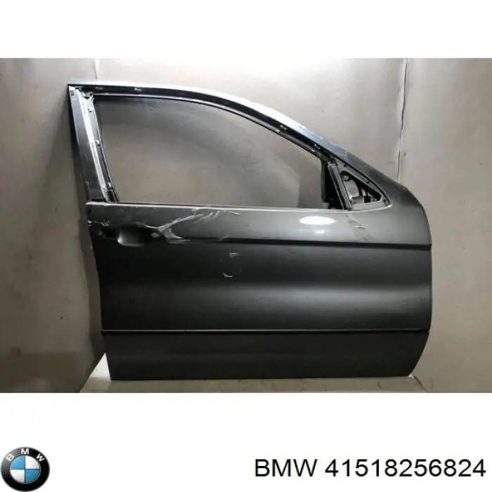 Пасажирські передні двері на BMW X5 (E53)