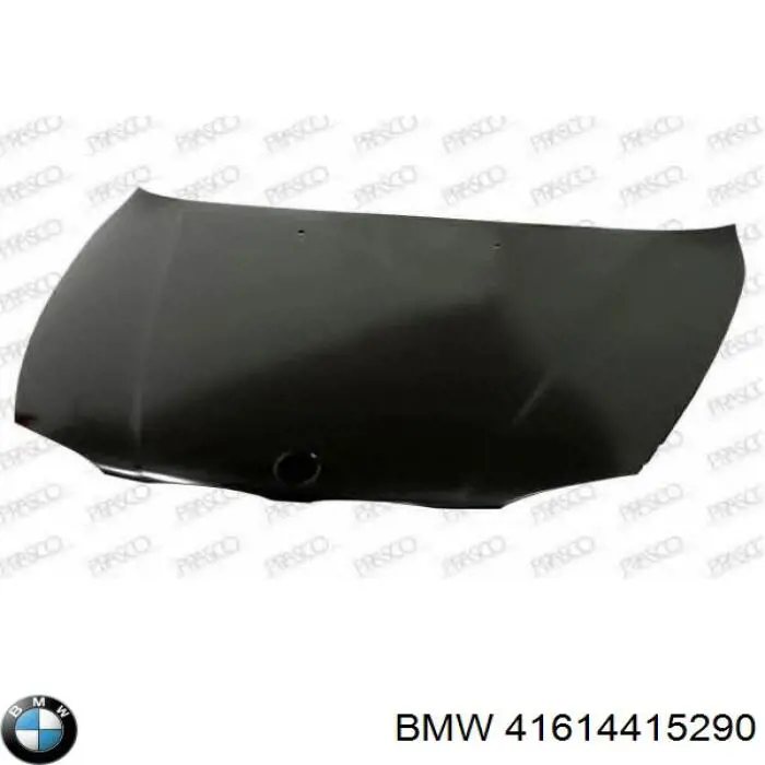 Купити 41614415290 BMW Капот