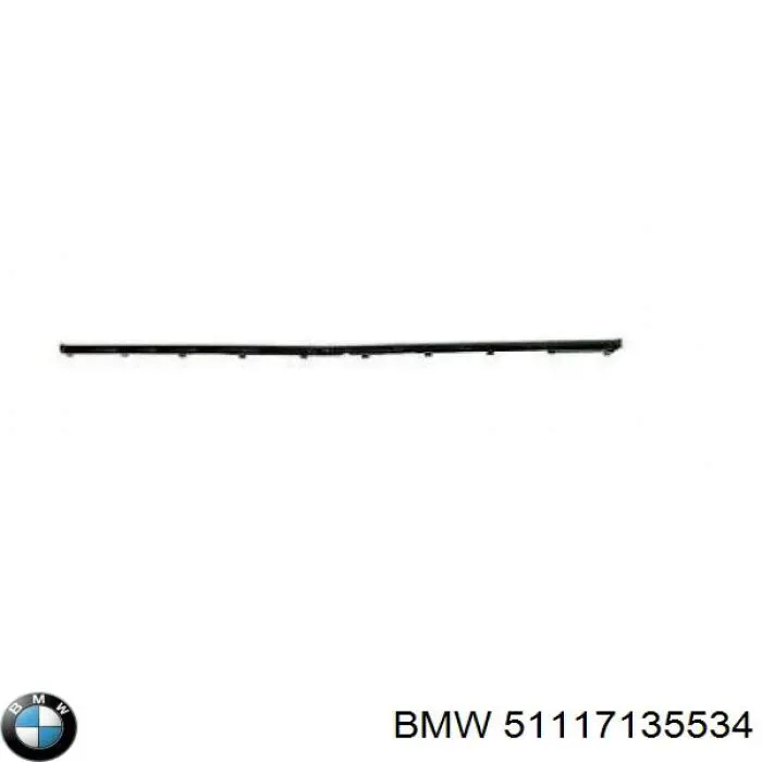 51117135534 BMW 