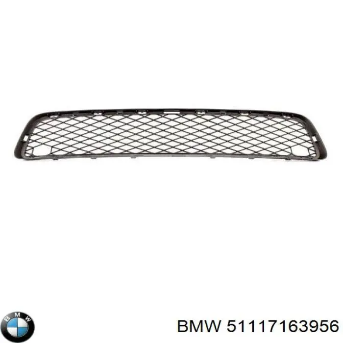 Купити 51117163956 BMW Решітка переднього бампера, центральна
