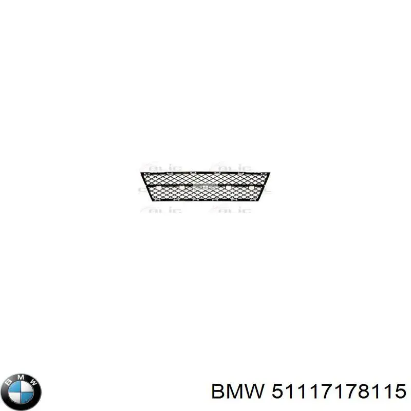 Решітка переднього бампера, центральна на BMW 5 (E60)