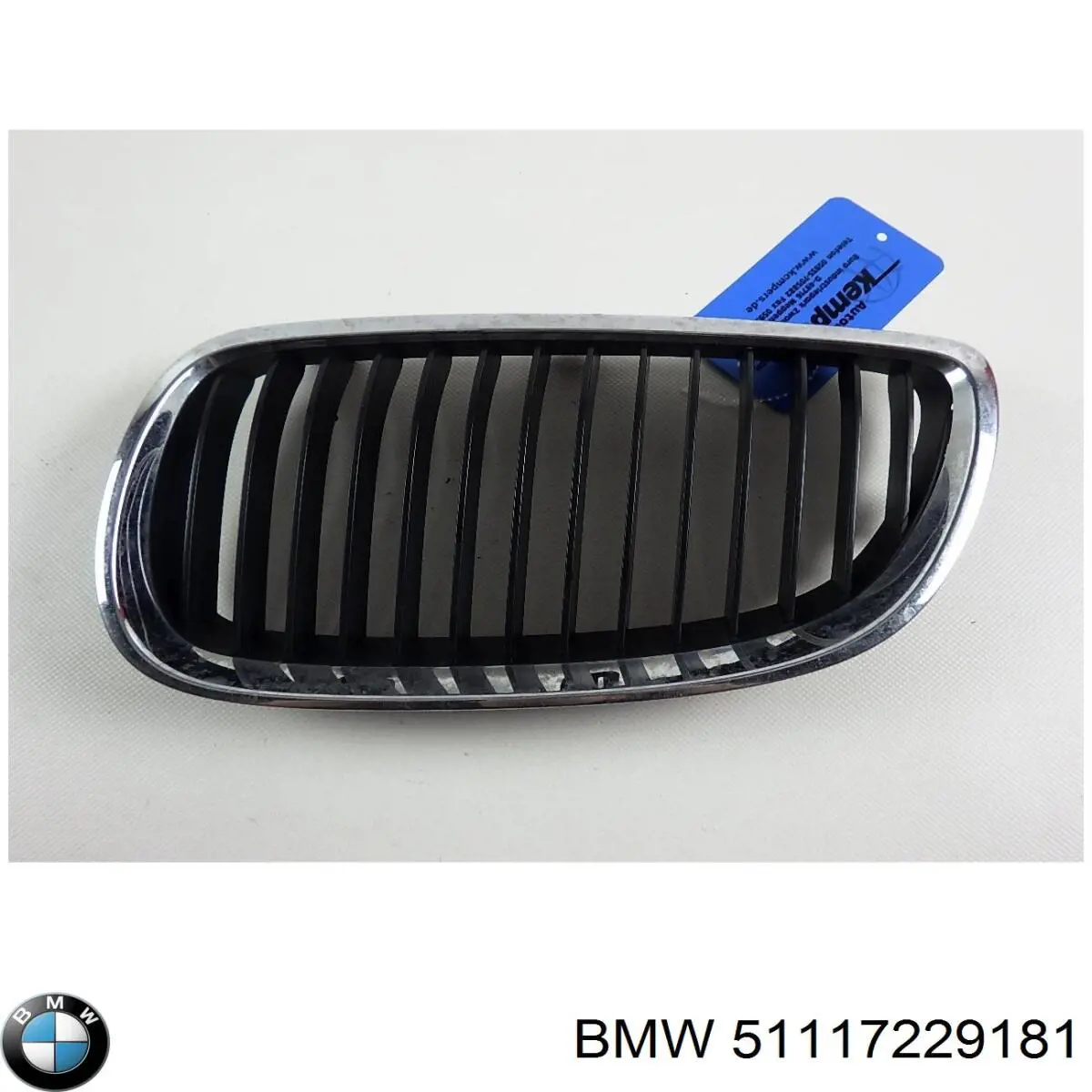 Купити 51117229181 BMW Молдинг решітки радіатора, лівий