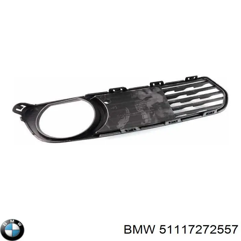 Купити 51117272557 BMW Решітка переднього бампера, ліва