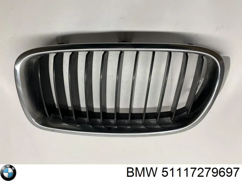 Купити 51117279697 BMW Молдинг решітки переднього бампера, лівий