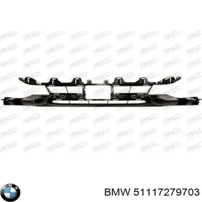 Купити 51117279703 BMW Решітка переднього бампера, центральна
