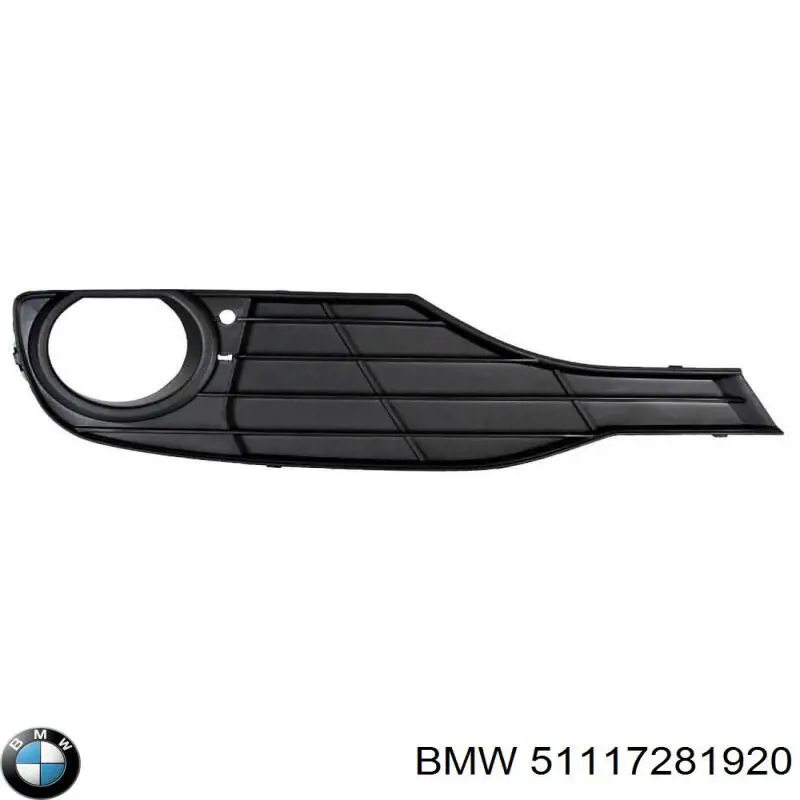 Купити 51117281920 BMW Решітка переднього бампера, права