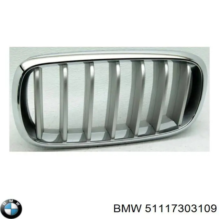 Купити 51117303109 BMW Решітка радіатора ліва