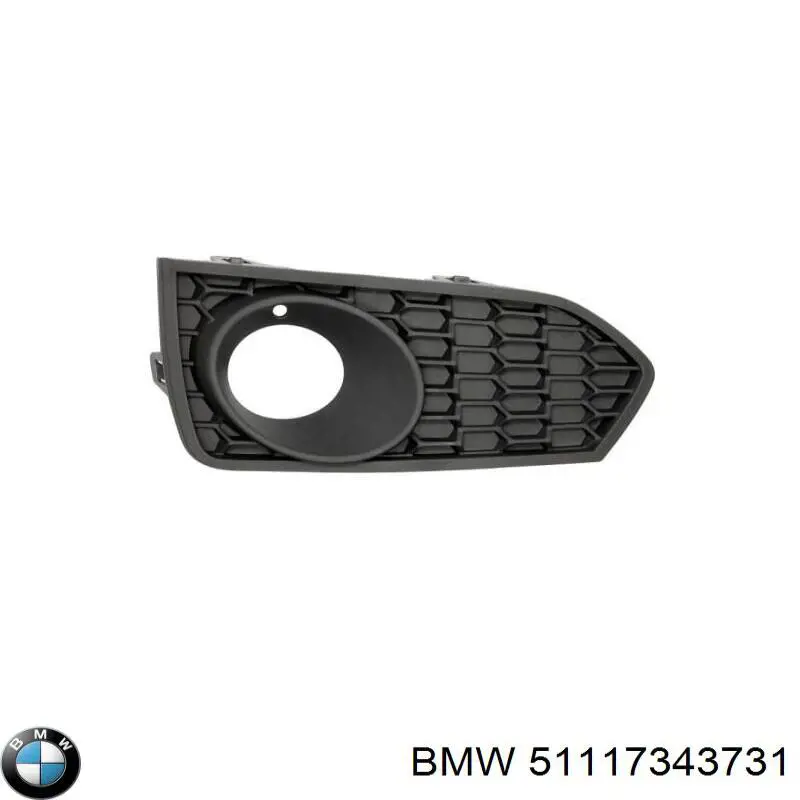 Купити 51117343731 BMW 