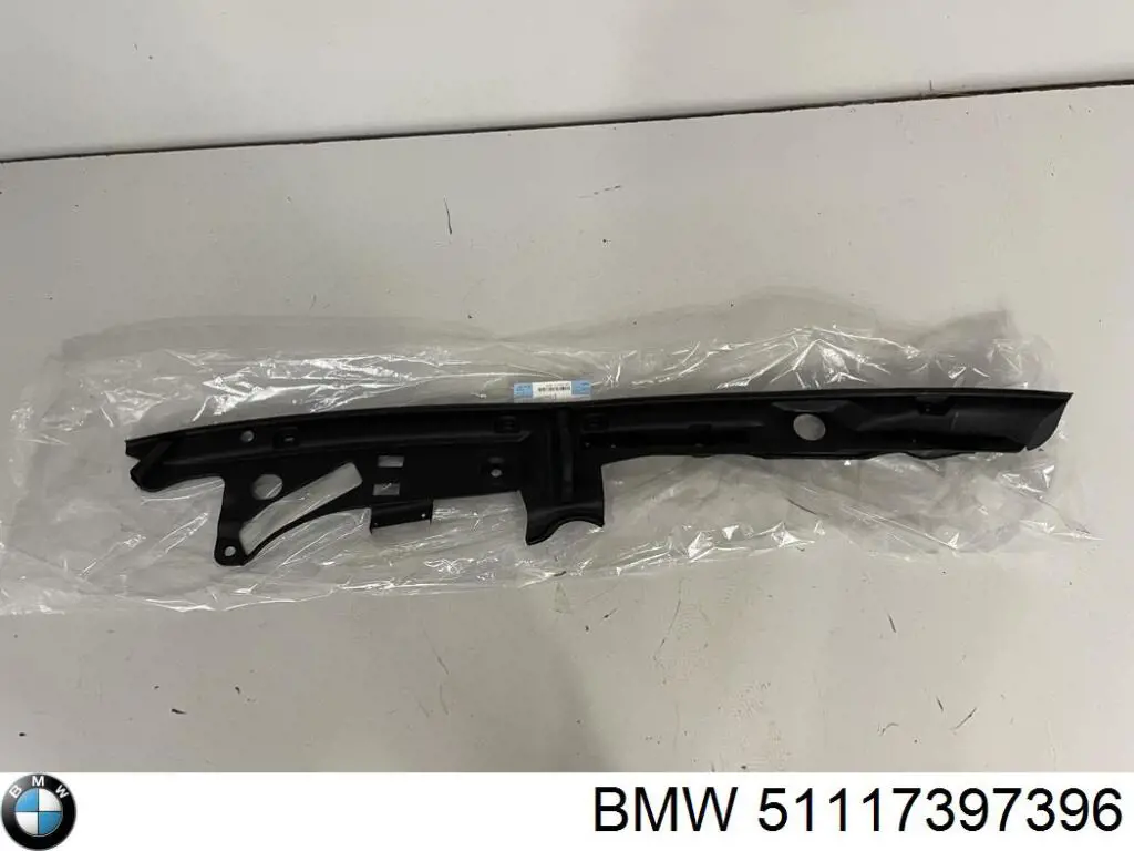 Купити 51117397396 BMW Направляюча переднього бампера