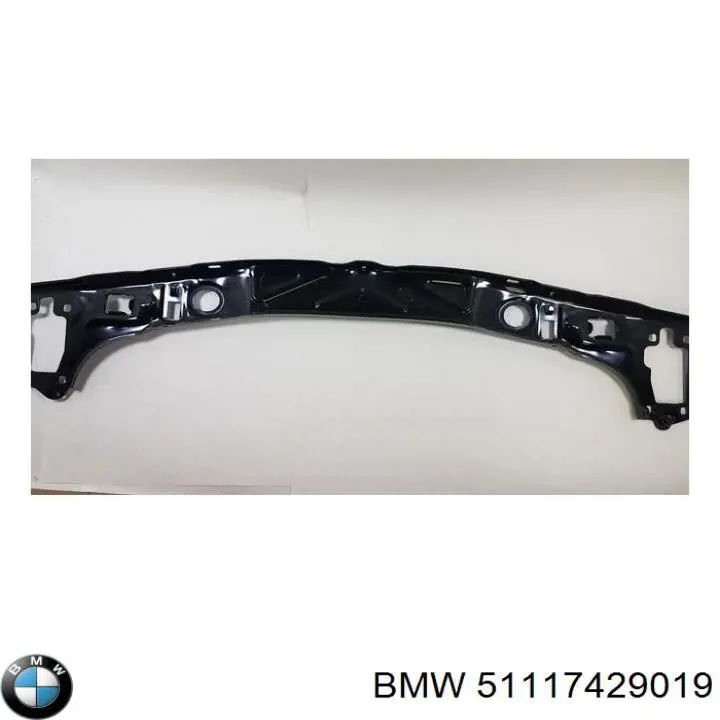 Абсорбер бампера переднього BMW 51117429019 ціна, від 52.47 USD