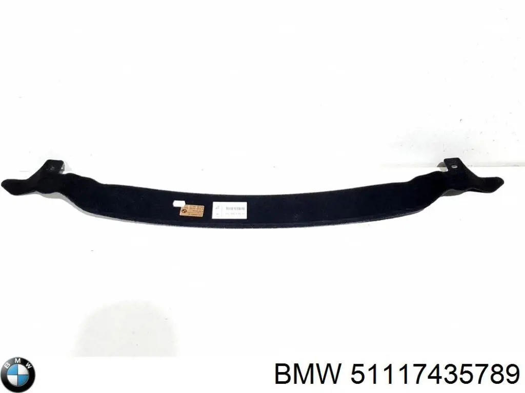 Купити 51117435789 BMW 