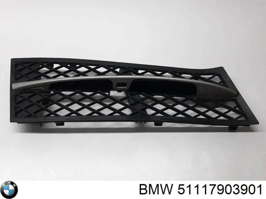 Купити 51117903901 BMW Решітка переднього бампера, центральна