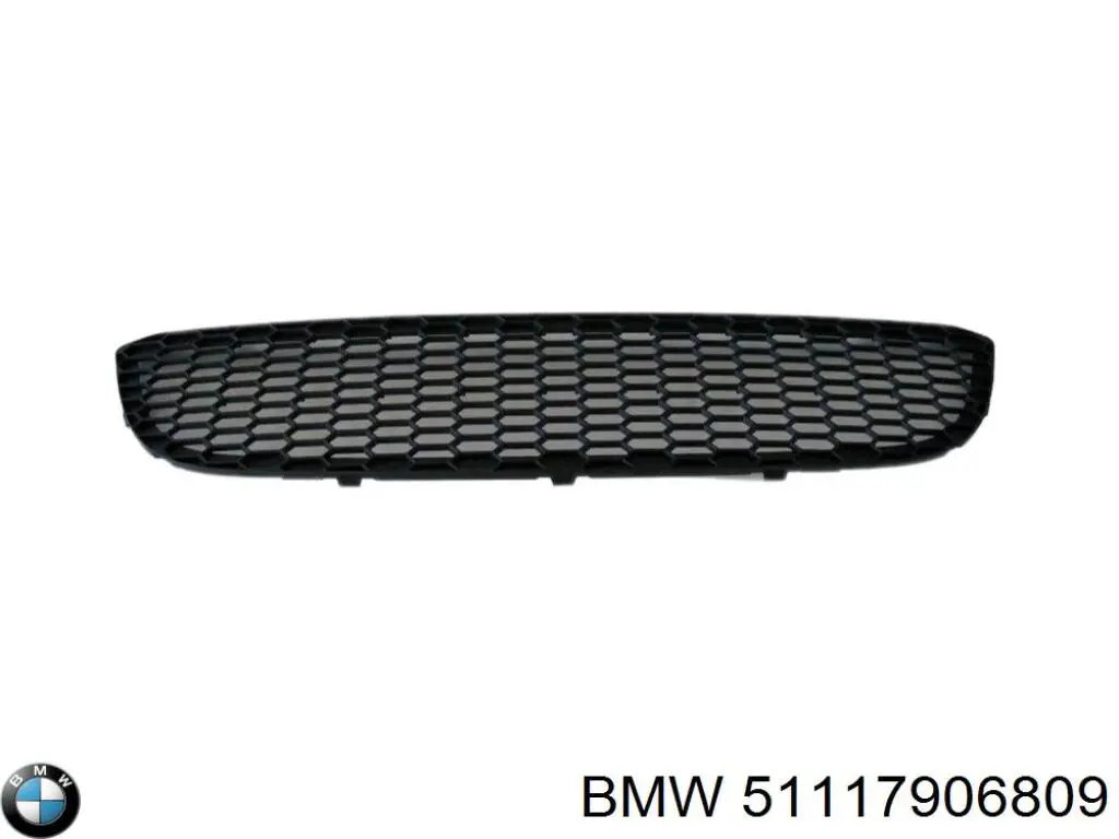 Решітка переднього бампера, центральна BMW 51117906809 ціна, від 22.98 USD