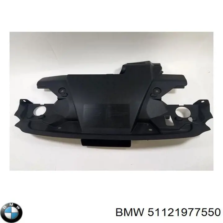 Купити 51121977550 BMW Амортизатор задній, правий