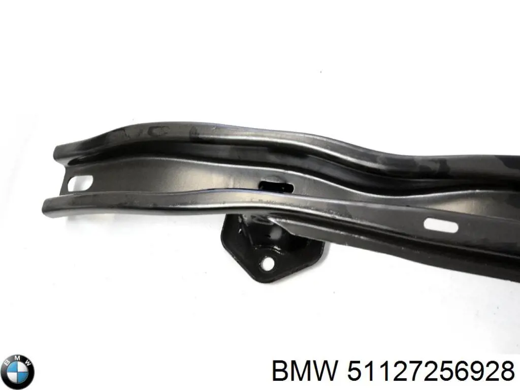 51127256928 BMW Шина бампера заднього