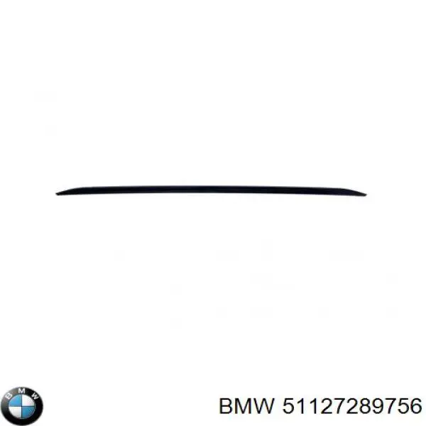 Купити 51127289756 BMW Молдинг заднього бампера, центральний