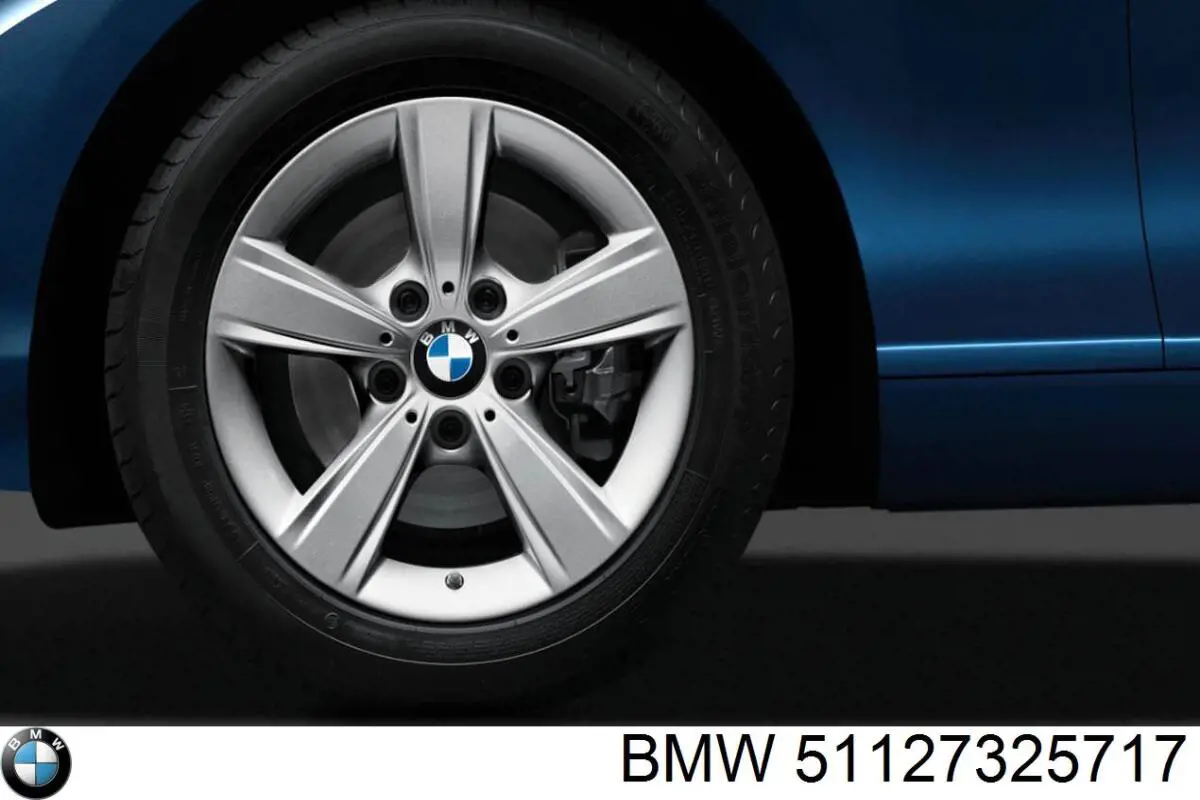 Купити 51127325717 BMW 