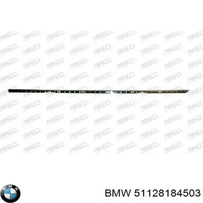 Молдинг заднього бампера, центральний на BMW 5 (E39)