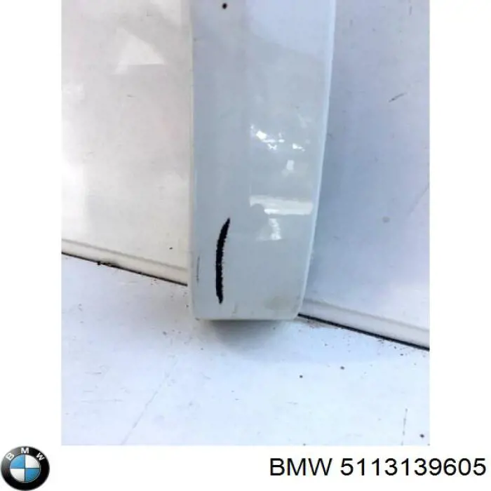 5113139605 BMW 