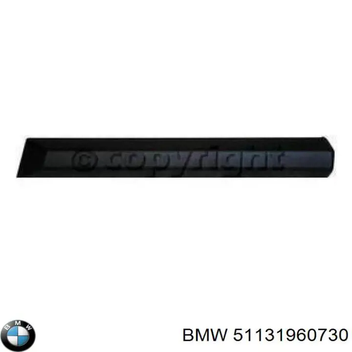 Купити 51131960730 BMW 