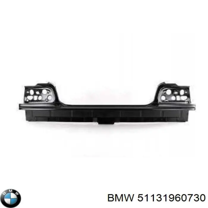 51131960730 BMW 