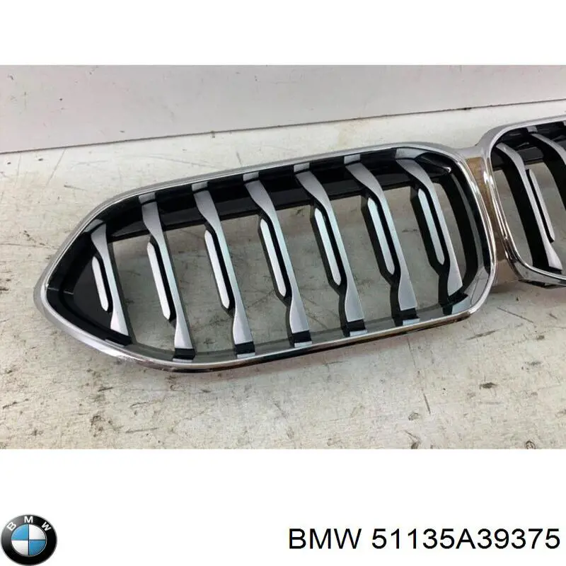Купити 51135A39375 BMW Захисна решітка радіатора