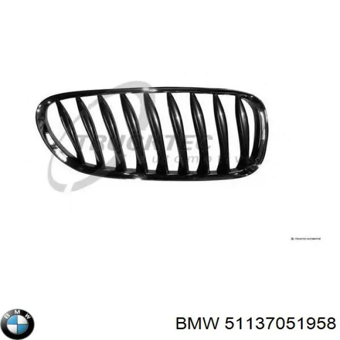 Купити 51137051958 BMW Решітка радіатора права
